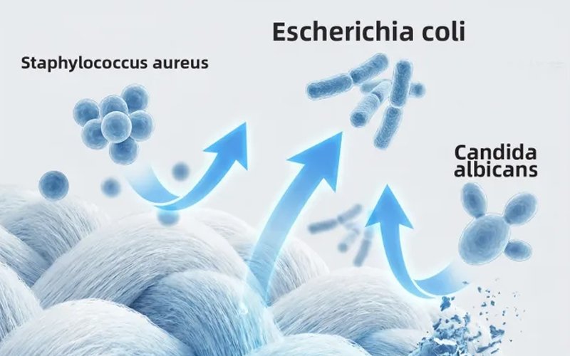 Antimicrobial